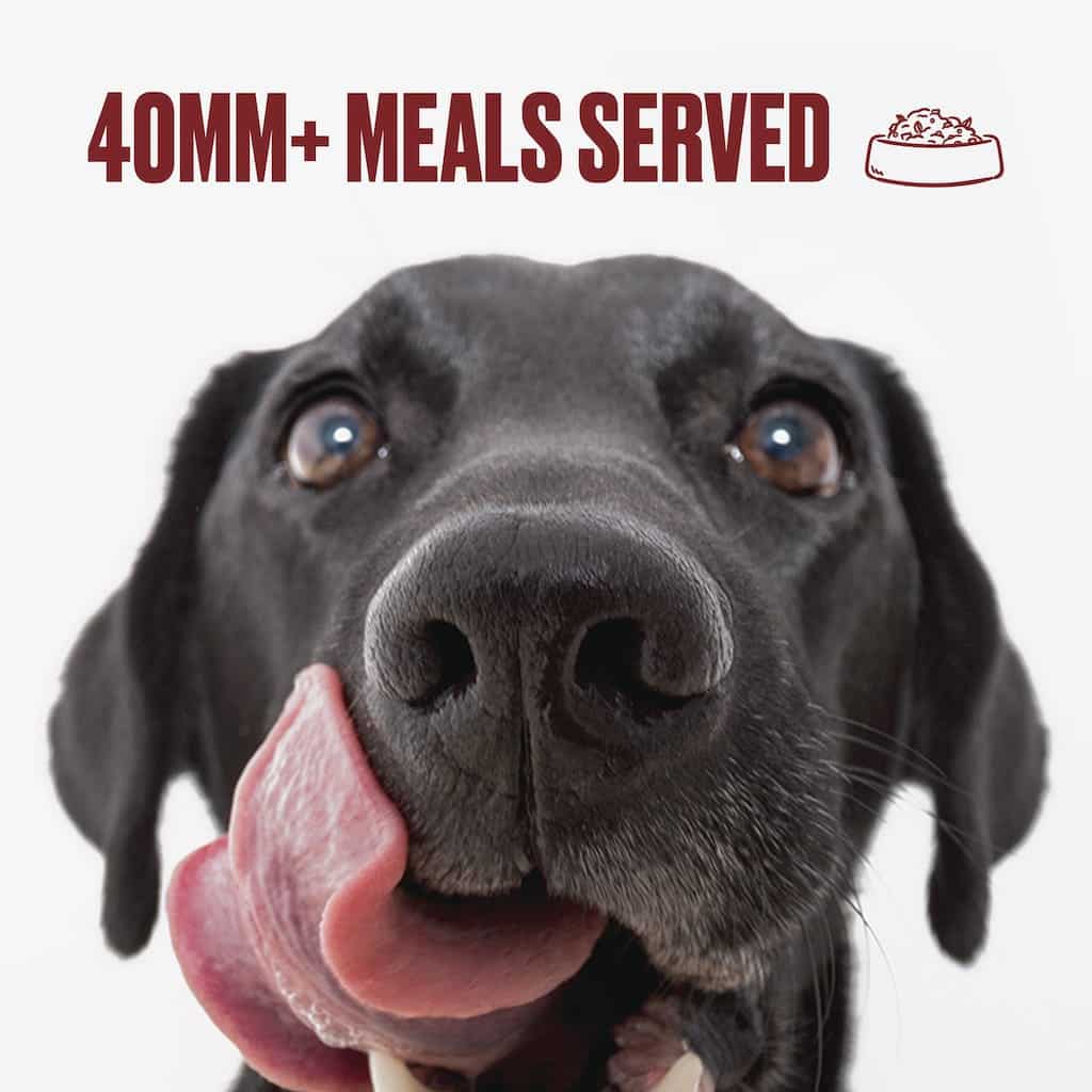 dog variety pack 40MM meals