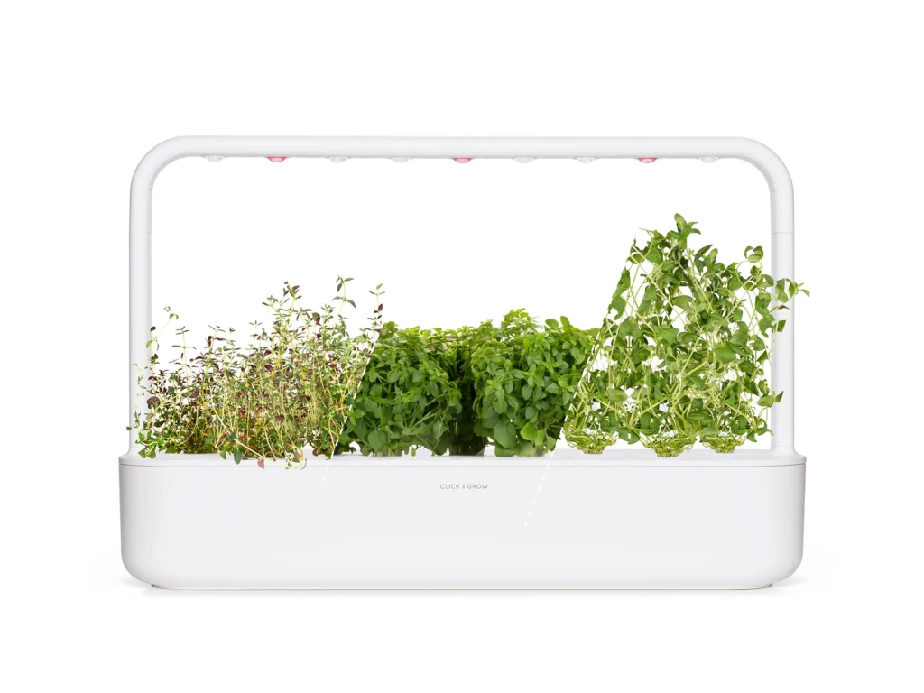 Click & Grow Big “Italian Herb” Kit